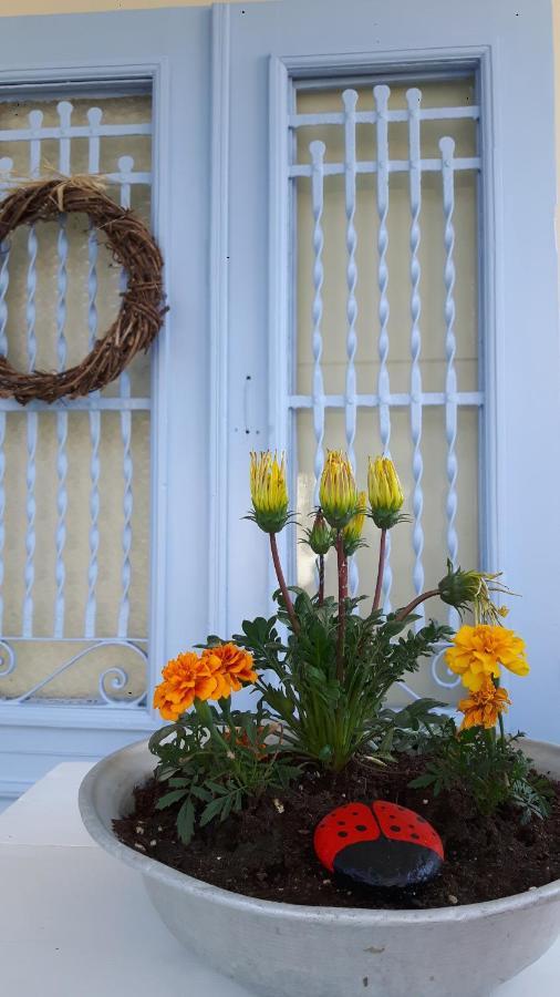바티 Cavos Seaside House 빌라 외부 사진